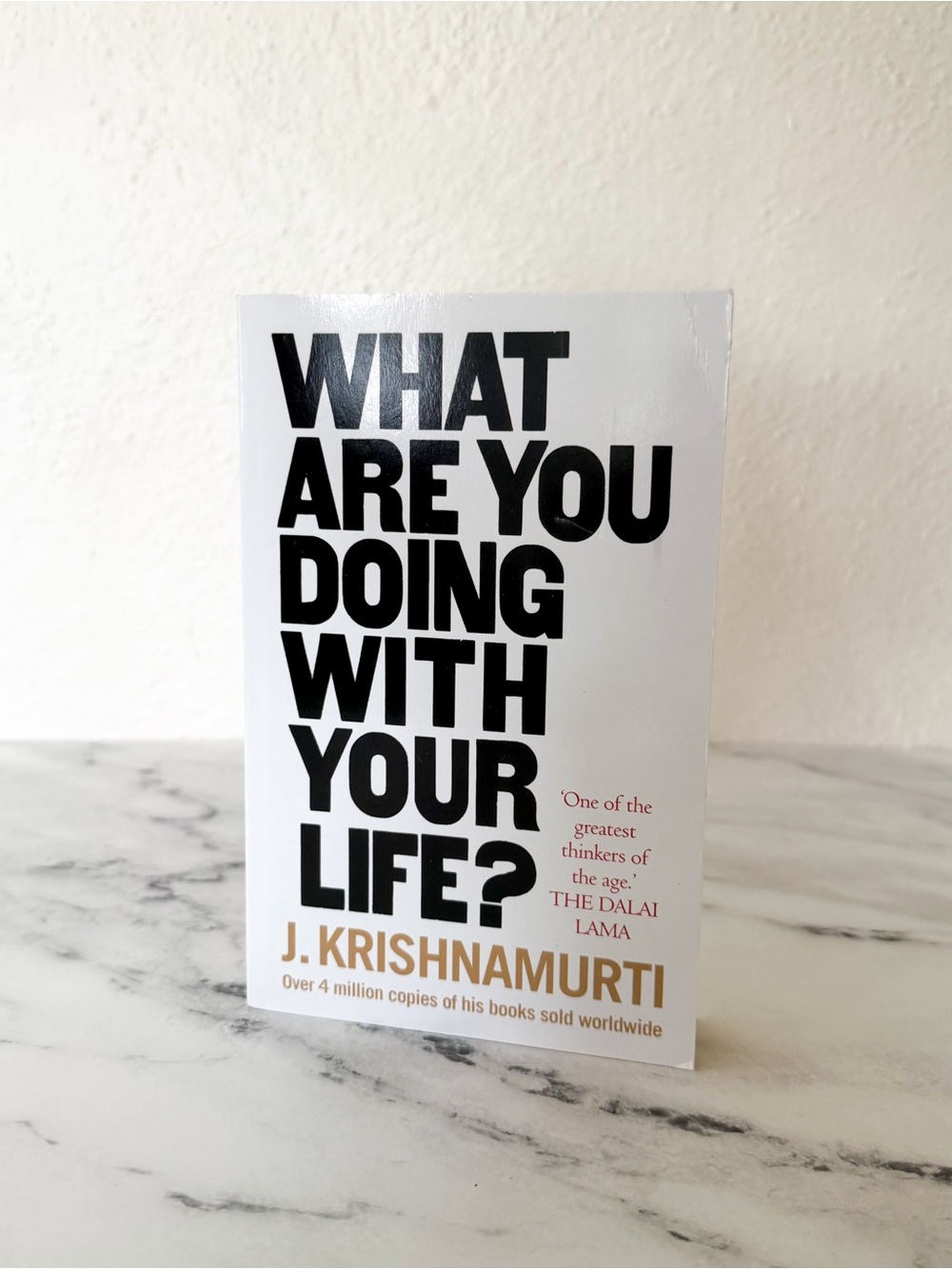 What Are You Doing With Your Life? By J. Krishnamurti Paperback Book